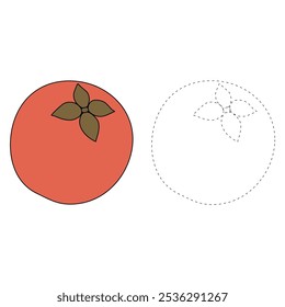 Velvet apple coloring pages for kids. Trace and color Velvet apple. Fruit Flashcard for kids. Velvet apple isolated on white background. Kindergarten and preschool worksheets printable for kids. 