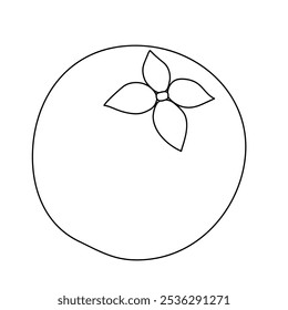 Velvet apple coloring pages for kids. Trace and color Velvet apple. Fruit Flashcard for kids. Velvet apple isolated on white background. Kindergarten and preschool worksheets printable for kids. 