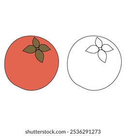 Velvet apple coloring pages for kids. Trace and color Velvet apple. Fruit Flashcard for kids. Velvet apple isolated on white background. Kindergarten and preschool worksheets printable for kids. 