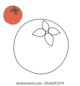 Velvet apple coloring pages for kids. Trace and color Velvet apple. Fruit Flashcard for kids. Velvet apple isolated on white background. Kindergarten and preschool worksheets printable for kids. 