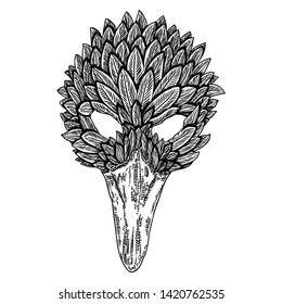 Venetian carnival bird face mask for party decoration or masquerade , hand drawing. Vector.