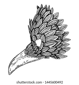 Venetian carnival bird face mask for party decoration or masquerade , hand drawing. Vector.