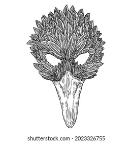 Venetian carnival bird face mask for party decoration or masquerade , hand drawing. Vector.