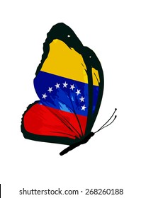 Venezuela flag butterfly - vector