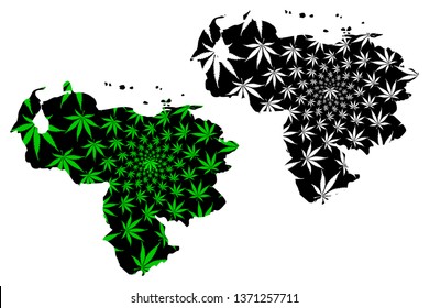 Venezuela - map is designed cannabis leaf green and black, Bolivarian Republic of Venezuela map made of marijuana (marihuana,THC) foliage,