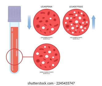 Concepto de tubos de recolección de sangre con células plasmáticas que cuentan el diagnóstico en microbiología o medicina