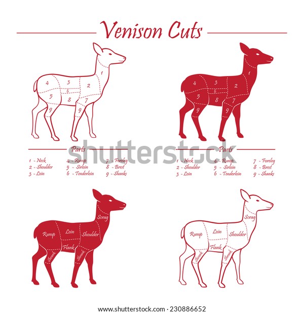 Venison Meat Cuts Chart