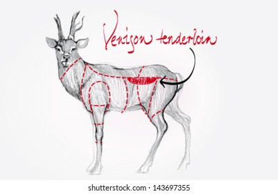 Venison tenderloin / Cuts of deer