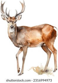 Venison watercolor illustration. Hand drawn underwater element design. Artistic vector marine design element. Illustration for greeting cards, printing and other design projects.