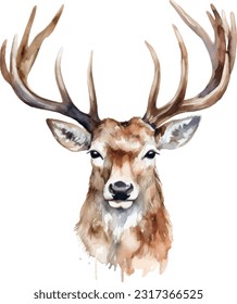 Venison watercolor illustration. Hand drawn underwater element design. Artistic vector marine design element. Illustration for greeting cards, printing and other design projects.