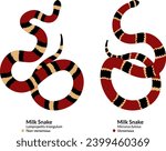 Venomous Eastern Coral Snake vs Non-Venomous Eastern Milk Snake,  red, black, and yellow scales patterns. Red on yellow, kill a fellow, red on black, venom lack.