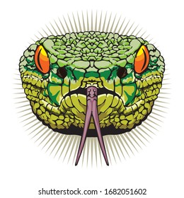 The venomous green snake's head, good for reptile shop logo and t shirt design, also reptile lover club logo