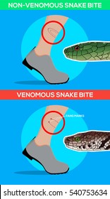 Non Venomous Snake Images Stock Photos Vectors Shutterstock