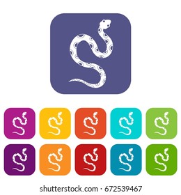 Venomous snake icons set vector illustration in flat style In colors red, blue, green and other