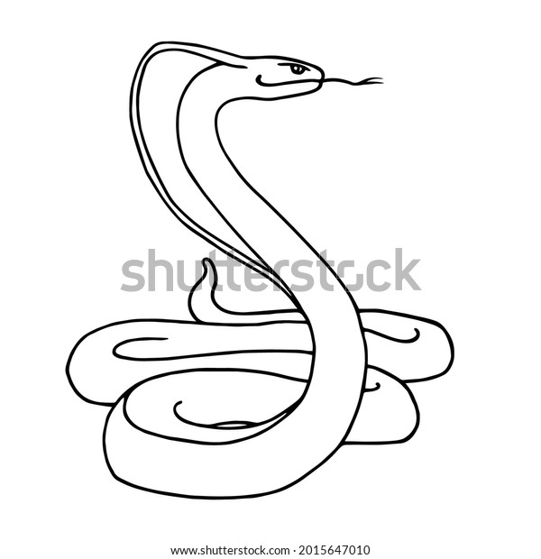 Venomous Snake Indian King Cobra Stand Stock Vector (Royalty Free ...