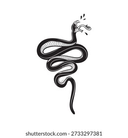 Venomous snake on white background