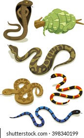 Venomous Snake Vector Cartoon Set