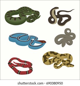 venomous snake vector cartoon set