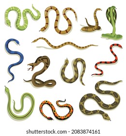 Venomous snakes. Danger animals different colors. Poisonous reptiles crawl. Decorative character, wildlife nature animals