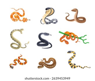 Venomous snakes set. Indian cobra, black mamba, copperhead, Viper, milk snake, Reptile drawing. Realistic 3D isometric style. Vector set. Concepts of wildlife, and animals. 