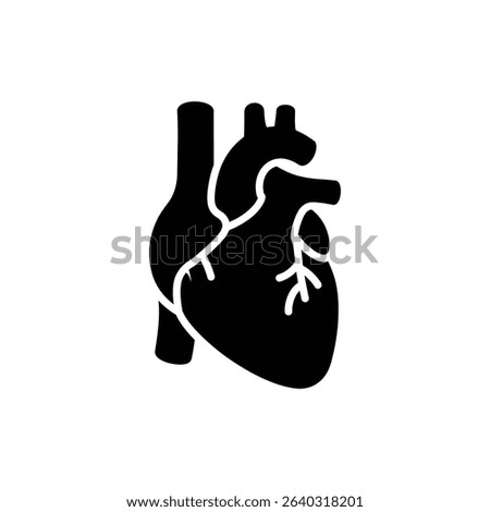 Ventricle Lower Heart Chamber Human Heart Anatomy Icon