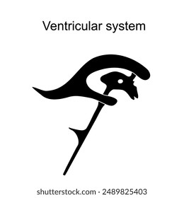 Ventricular system. Cerebrospinal fluid. Black icon. Simple outline style. Stylized pictogram for web design, or mobile app. Vector illustration. flat symbol.