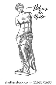 Escultura de la Venus de Milo a lo largo de la vista frontal. Arte vectorial en la técnica de grabado. Diseño de páginas de libros para adultos y niños