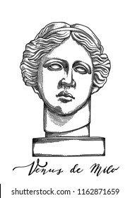 Venus de Milo head sculpture in the front view. Vector art in engraving technique. Coloring book page design for adults and kids