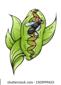 Venus fly trap eat. catches a fly. Isolated white background creative high quality Vector EPS 10