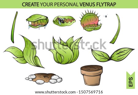 Venus fly trap eat. catches a fly. Isolated white background creative high quality Vector EPS 10
