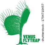 venus fly trap one shape