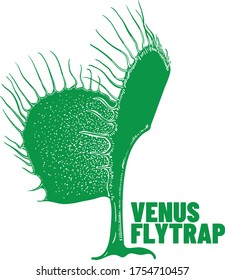 venus fly trap one shape