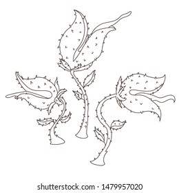 Venus flytrap  Carnivorous plant  Hand drawn vector EPS 10 illustration 
