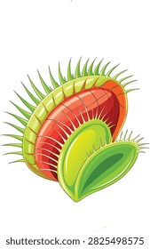 Venus flytrap carnivorous plant