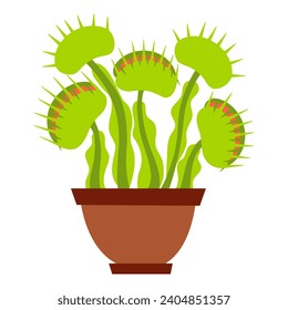 Venus flytrap cartoon vector illustration isolated on white background. Dionaea muscipula plant. Carnivorous plant in pot. Venus's flytrap illustration