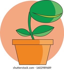 Venus Flytrap cute plant icon illustratios