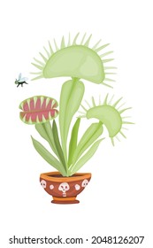 Venus flytrap dangerous predatory plant botany. vector flat style