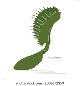 venus flytrap, venus flytrap icono, Dionaea muscipula icono, icono único, icono de hoja, hoja, cactus