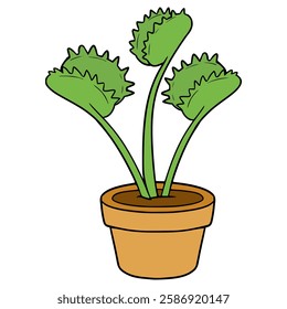 venus flytrap illustration hand drawn isolated vector