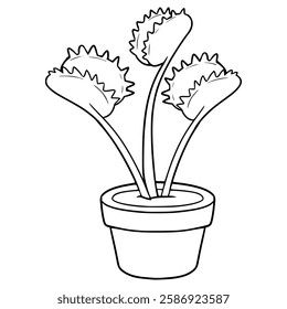 venus flytrap illustration hand drawn outline vector