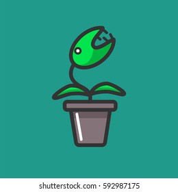 Venus flytrap plant in a flowerpot isolated on green background. Vector illustration in flat design of decorative element for home windows. Carnivorous type of plants isolated in grey flower pot