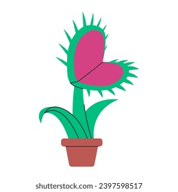 venus flytrap pot wild nature carnivorous plant for catch insect with sharp jaws thorn danger botany