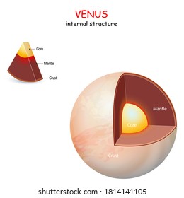 Venus internal structure. cross section of planet from core to mantle and crust. Solar system. infographics. vector diagram. Easy to edit