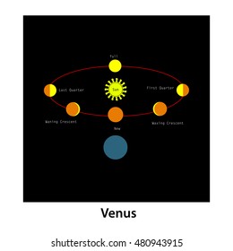 venus movement