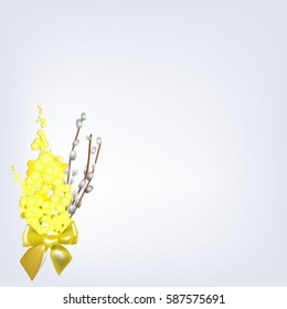 Verba with mimosa on a light background, vector illustration