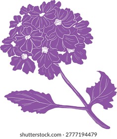 Verbena Flower Flat Color Botanical Illustration Minimal Decorative Garden Floral Design
