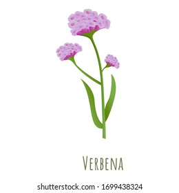 Verbena Flower Icon. Cartoon Of Verbena Flower Vector Icon For Web Design Isolated On White Background