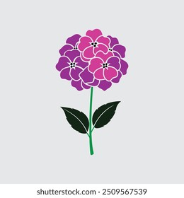 Verbena flower vector art illustration