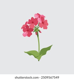 Verbena flower vector art illustration