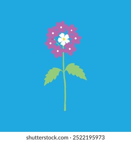 The "Verbena flower vector art illustration" is a high-quality, scalable digital graphic design file featuring a detailed, vibrant vector illustration of a Verbena flower, perfect for print.